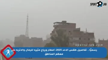 رسميًا.. تفاصيل طقس الأحد 2025: أمطار ورياح مثيرة للرمال والأتربة على معظم المناطق